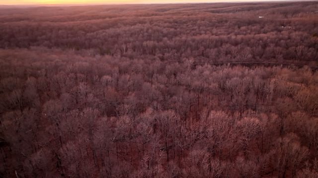 4 John Ross Hollow Rd, Erin, TN 37061