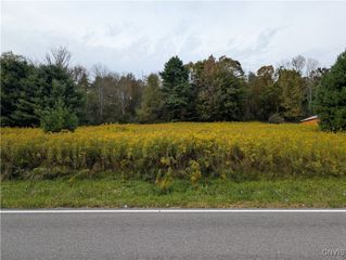 0 Gorton Road, Hamilton, NY 13346