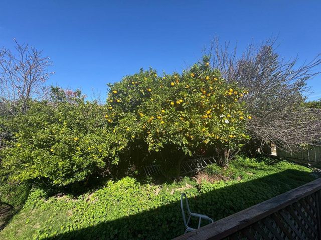 36569 Beutke Drive, Newark, CA 94560