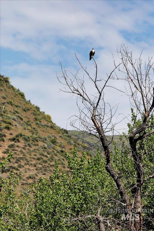 6856 Highway 55, Horseshoe Bend, ID 83629 photo 45