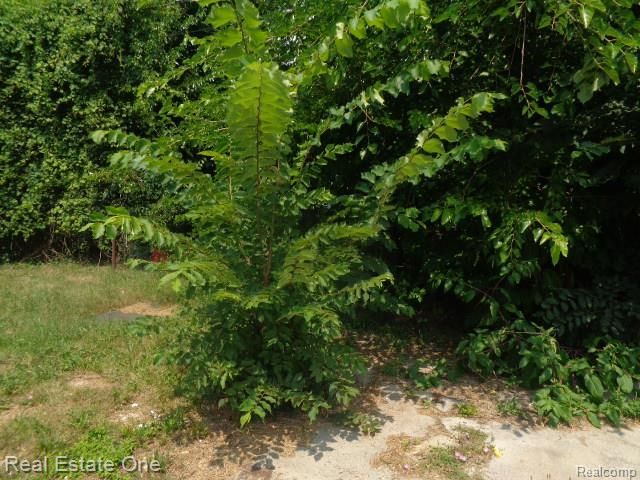 10074 Beechdale Street, Detroit, MI 48204