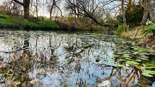 335 Rittimann, Spring Branch, TX 78070