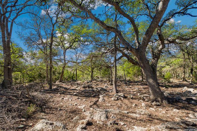 335 Rittimann, Spring Branch, TX 78070