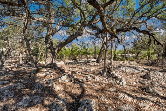 335 Rittimann, Spring Branch, TX 78070