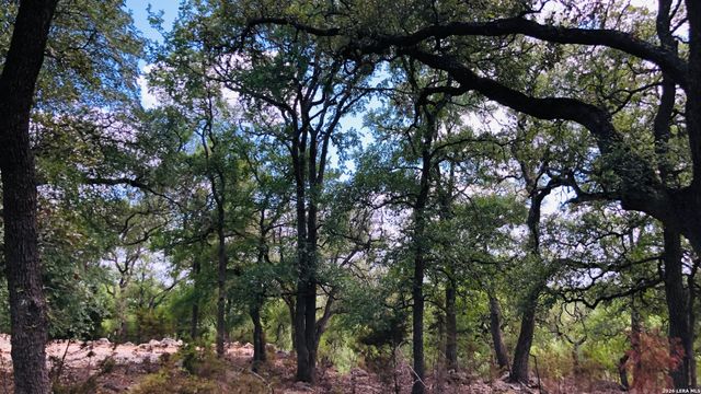 335 Rittimann, Spring Branch, TX 78070