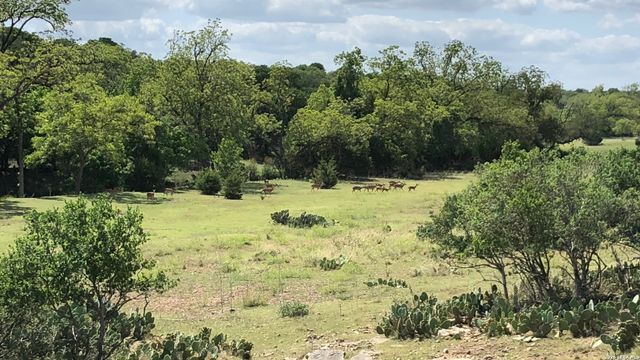 335 Rittimann, Spring Branch, TX 78070