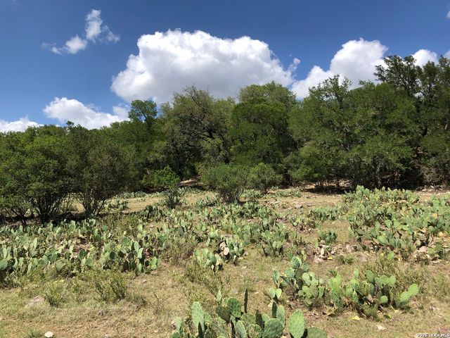 335 Rittimann, Spring Branch, TX 78070