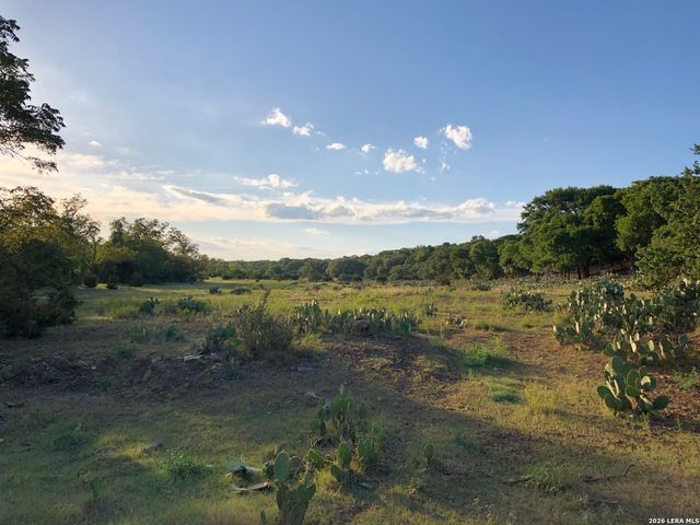 335 Rittimann, Spring Branch, TX 78070