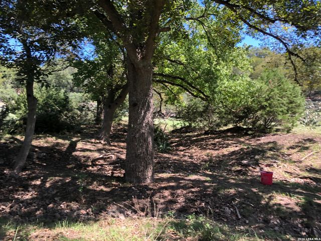 335 Rittimann, Spring Branch, TX 78070