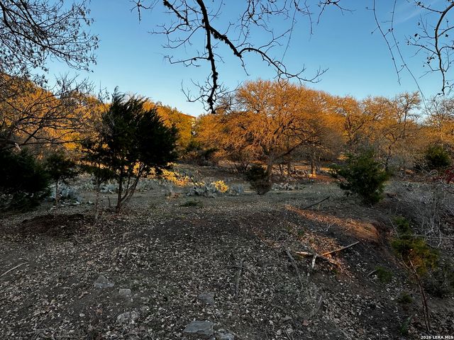 335 Rittimann, Spring Branch, TX 78070