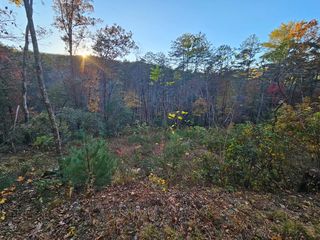 84 Spiva Cove Mountain Trail, Blairsville, GA 30512