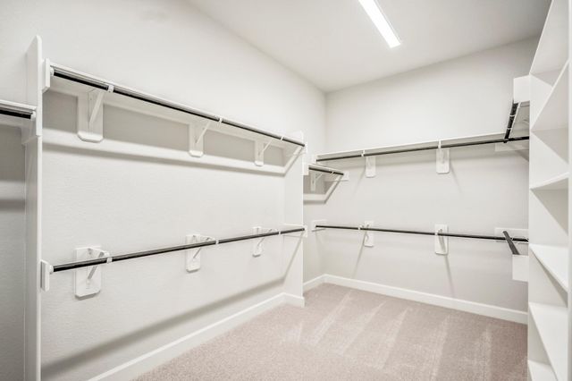 1715 Cathedral Bend Drive, Missouri City, TX 77459