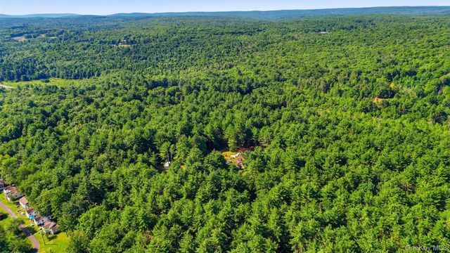 7300 State Route 52, Greenfield Park, NY 12435
