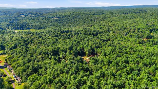 7300 State Route 52, Greenfield Park, NY 12435
