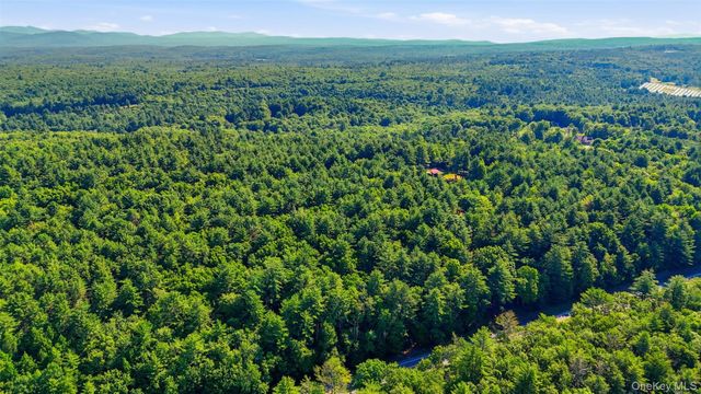 7300 State Route 52, Greenfield Park, NY 12435