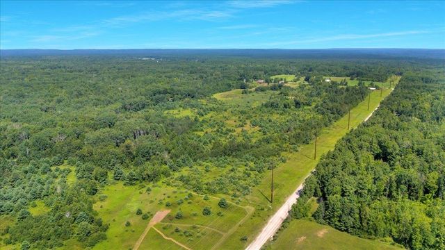 6609 Slosser Road, Hale, MI 48739