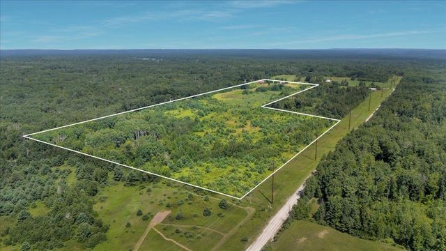 6609 Slosser Road, Hale, MI 48739