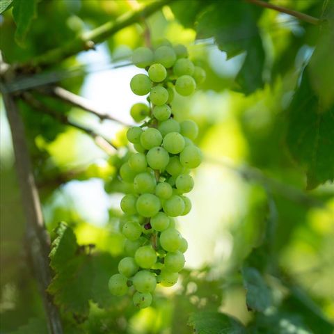 6609 Slosser Road, Hale, MI 48739