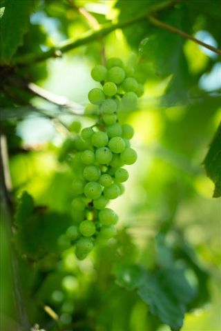 6609 Slosser Road, Hale, MI 48739