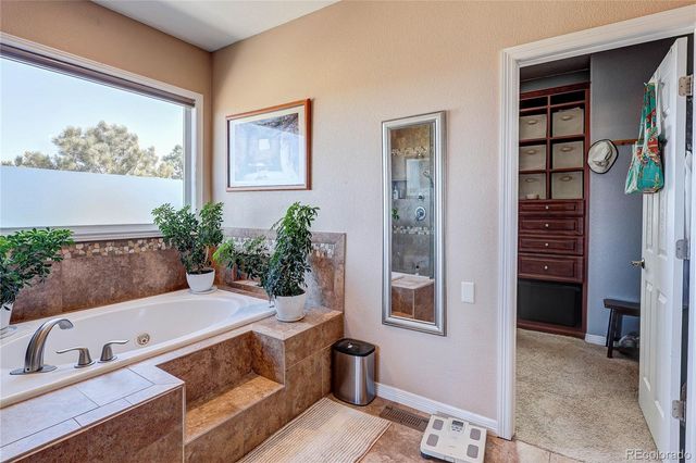 2157 Dragoon Court, Castle Rock, CO 80109