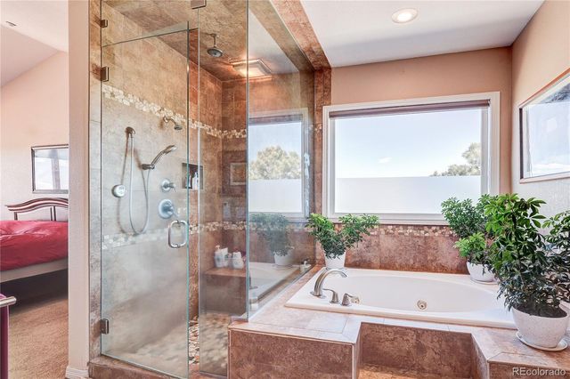 2157 Dragoon Court, Castle Rock, CO 80109