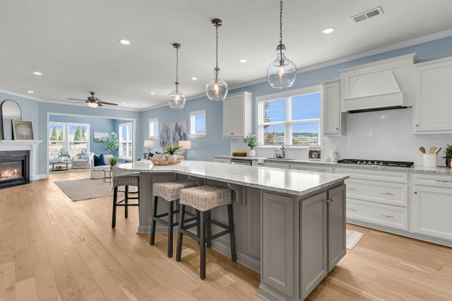 102 Garden Gate Way, Summerville, SC 29486