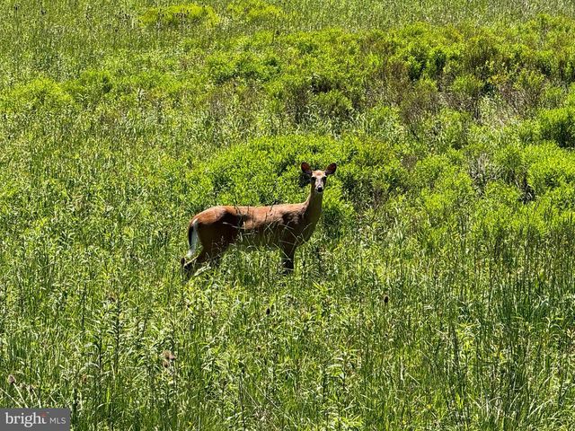 LOT 14 CESSNA LANE, Davis, WV 26260