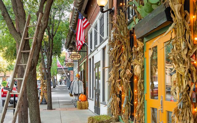 828 Elsbeth Street, Dallas, TX 75208