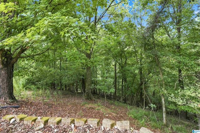 4029 RIVER VIEW DRIVE, Vestavia Hills, AL 35243