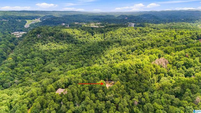 4029 RIVER VIEW DRIVE, Vestavia Hills, AL 35243