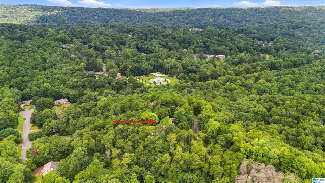 4029 RIVER VIEW DRIVE, Vestavia Hills, AL 35243
