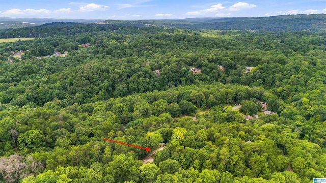 4029 RIVER VIEW DRIVE, Vestavia Hills, AL 35243
