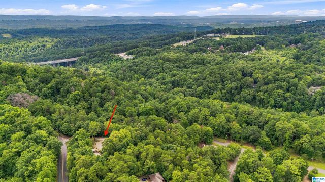 4029 RIVER VIEW DRIVE, Vestavia Hills, AL 35243