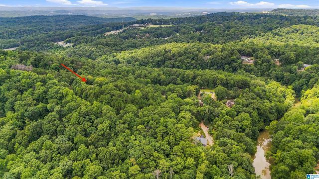 4029 RIVER VIEW DRIVE, Vestavia Hills, AL 35243