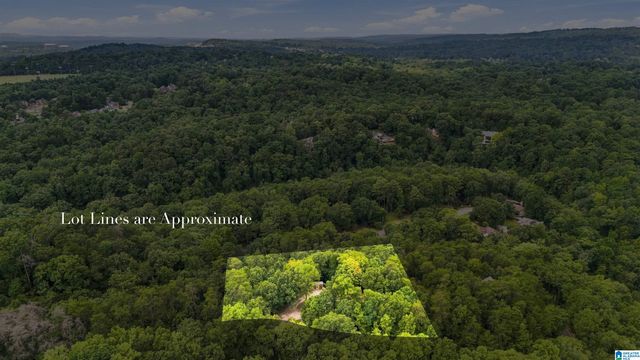 4029 RIVER VIEW DRIVE, Vestavia Hills, AL 35243