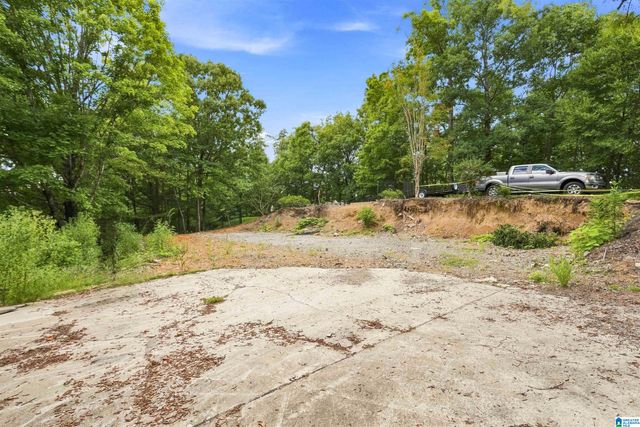 4029 RIVER VIEW DRIVE, Vestavia Hills, AL 35243