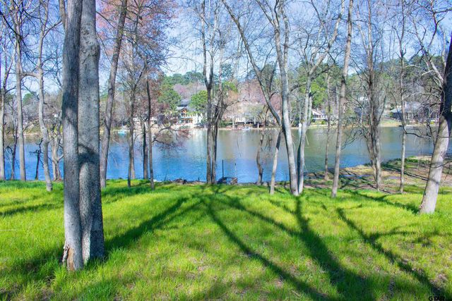 1215 B Chateau Lane, Hideaway, TX 75771