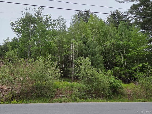 125 Zimmerman Road, Loch Sheldrake, NY 12733