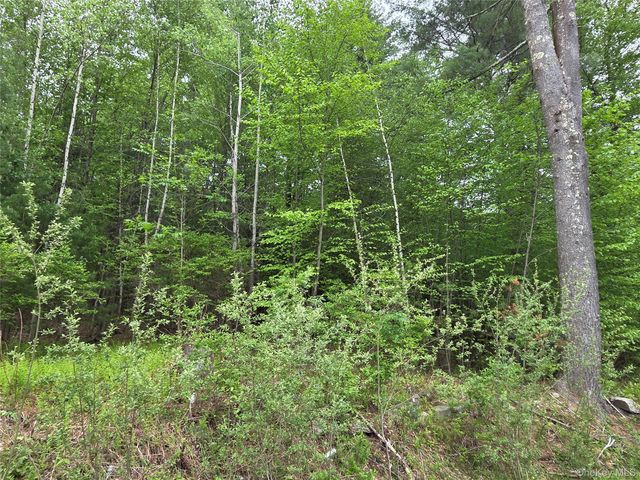 125 Zimmerman Road, Loch Sheldrake, NY 12733