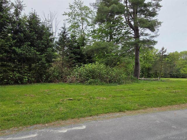 125 Zimmerman Road, Loch Sheldrake, NY 12733