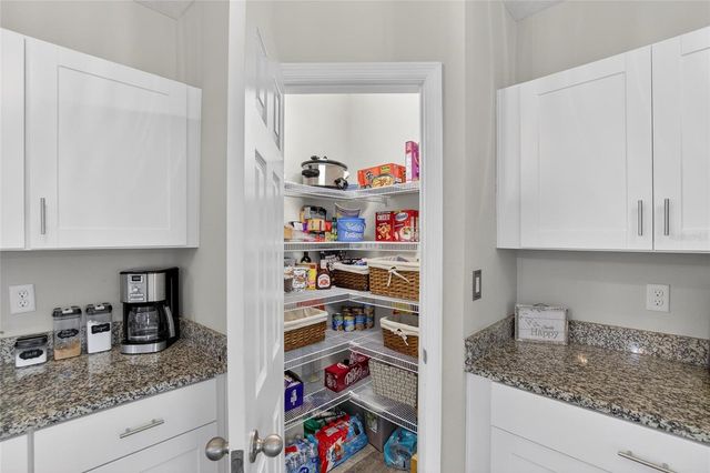 12810 BENT TWIG DRIVE, Riverview, FL 33579