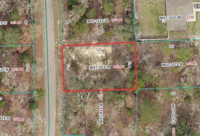 19 FISHER LANE TRACK, Ocklawaha, FL 32179