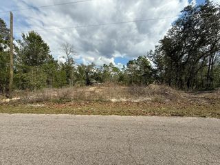 19 FISHER LANE TRACK, Ocklawaha, FL 32179