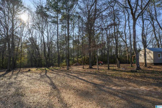 3079 COUNTY ROAD 113, Montevallo, AL 35115