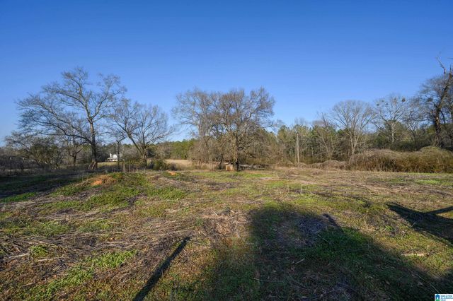 3079 COUNTY ROAD 113, Montevallo, AL 35115