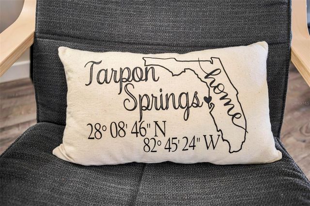 1250 S PINELLAS AVENUE 205, Tarpon Springs, FL 34689