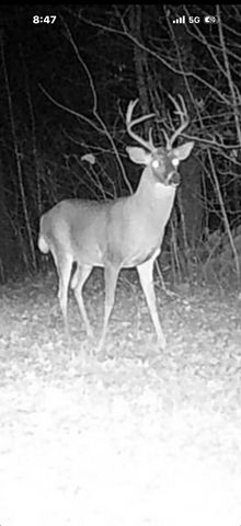 5837 Timber Bluff Trail, Manlius Twp, MI 49408