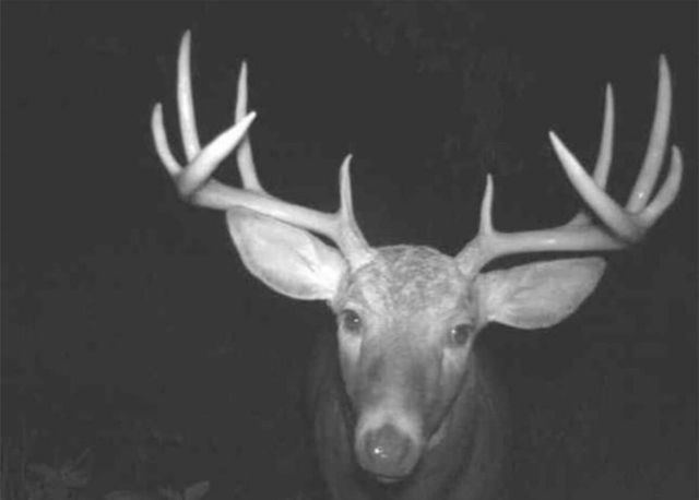 5837 Timber Bluff Trail, Manlius Twp, MI 49408