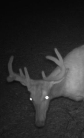 5837 Timber Bluff Trail, Manlius Twp, MI 49408