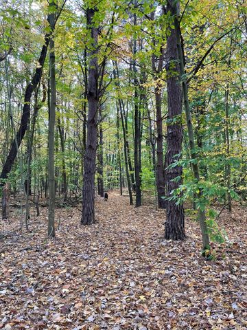 5837 Timber Bluff Trail, Manlius Twp, MI 49408